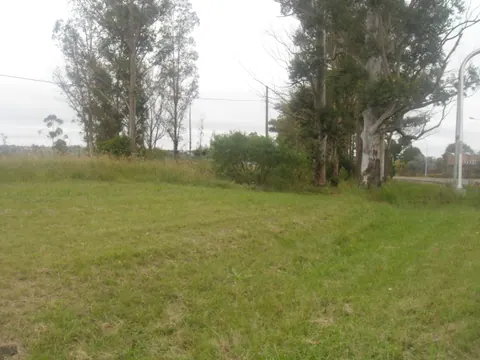Terrenos en Villa Adela 1