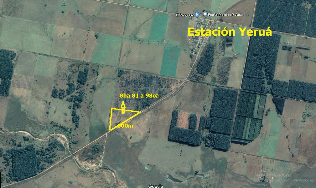 Campos en Estación Yeruá
